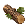 Oak plan